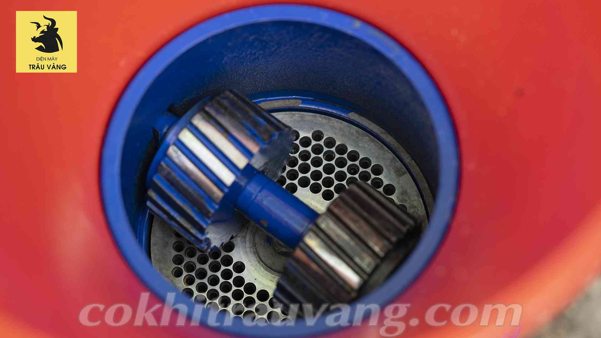 củ lăn ép