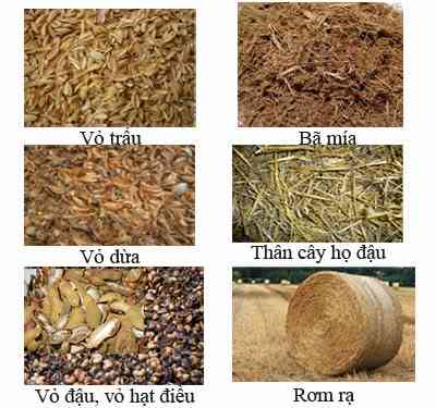 Phụ phẩm nông nghiệp