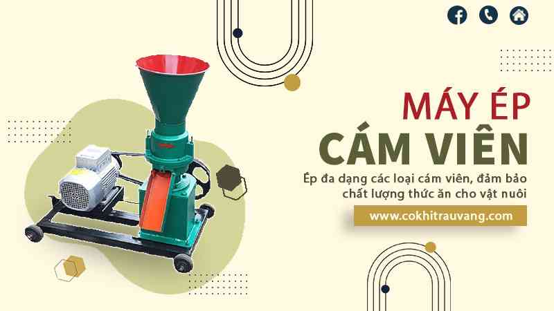 Máy ép cám viên dùng dây curoa